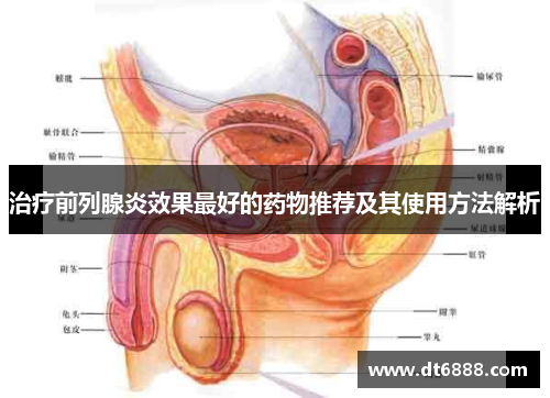 治疗前列腺炎效果最好的药物推荐及其使用方法解析